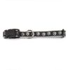 Casual Canine Flat Dog Collar with Black Pawprint Pattern