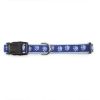 Casual Canine Flat Dog Collar with Blue Pawprint Pattern