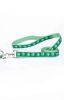 Casual Canine Pawprint Flat Dog Leash in Green