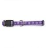 Casual Canine Purple Pawprint Flat Dog Collar