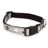 Reflective Flat Dog Collar with Pawprint Pattern by Casual Canine
