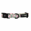 Flat Dog Collars by Sassy Woof - Verano Adjustable Collection