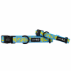 Flat Dog Collars by Sassy Woof - Verano Adjustable Collection
