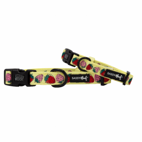 Flat Dog Collars by Sassy Woof - Verano Adjustable Collection (Color: Strawberry Fields Furever, size: medium)