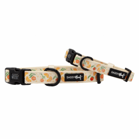 Flat Dog Collars by Sassy Woof - Verano Adjustable Collection (Color: Simply the Zest, size: small)