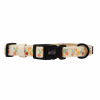 Flat Dog Collars by Sassy Woof - Verano Adjustable Collection