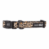 Flat Dog Collars by Sassy Woof - Verano Adjustable Collection