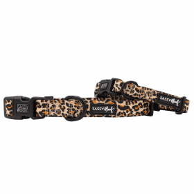 Flat Dog Collars by Sassy Woof - Verano Adjustable Collection (Color: Sass Gone Wild, size: large)