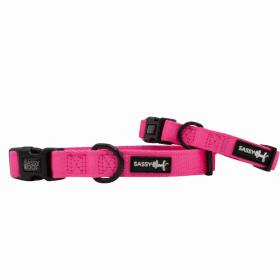 Flat Dog Collars by Sassy Woof - Verano Adjustable Collection (Color: Neon Pink, size: large)
