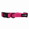 Flat Dog Collars by Sassy Woof - Verano Adjustable Collection
