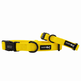 Flat Dog Collars by Sassy Woof - Verano Adjustable Collection (Color: Neon Yellow, size: medium)