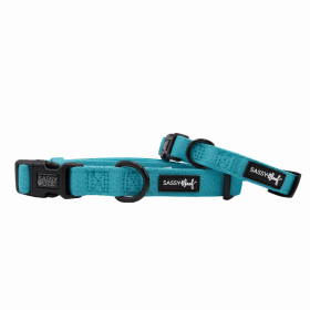 Flat Dog Collars by Sassy Woof - Verano Adjustable Collection (Color: Neon Blue, size: small)