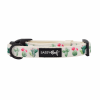 Flat Dog Collars by Sassy Woof - Verano Adjustable Collection