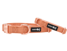 Adjustable Flat Dog Collars from Sassy Woof Premier Collection
