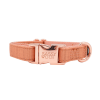 Adjustable Flat Dog Collars from Sassy Woof Premier Collection