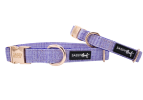 Adjustable Flat Dog Collars from Sassy Woof Premier Collection