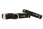Adjustable Flat Dog Collars from Sassy Woof Premier Collection