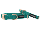 Adjustable Flat Dog Collars from Sassy Woof Premier Collection