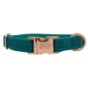 Adjustable Flat Dog Collars from Sassy Woof Premier Collection