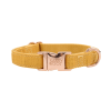 Adjustable Flat Dog Collars from Sassy Woof Premier Collection