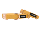 Adjustable Flat Dog Collars from Sassy Woof Premier Collection