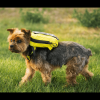 K9 Sport Sack Walk-On Dog Carrier Backpack
