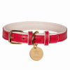 PoisePup Dog Collar