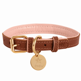 PoisePup Dog Collar (Color: Bella Rose, size: XL)