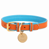 PoisePup Dog Collar