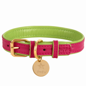 PoisePup Dog Collar (Color: Candy Swirl, size: medium)