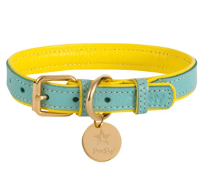 PoisePup Dog Collar (Color: Sunshine Babe, size: XL)