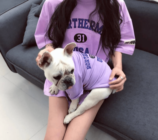 USA - Matching Pet and Owner Clothing Set (Color: Purple, size: Med)