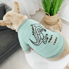 Dinosaur Love - Matching Pet and Owner Clothing Set (Color: Mint Green, size: 3XL)