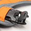 Adventurer 2-piece Pack With EZ Latch Dog Harness