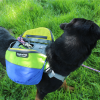 Adventurer 2-piece Pack With EZ Latch Dog Harness
