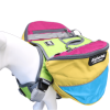 Adventurer 2-piece Pack With EZ Latch Dog Harness