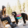 Adventurer 2-piece Pack With EZ Latch Dog Harness
