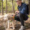 Adventurer 2-piece Pack With EZ Latch Dog Harness