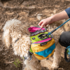 Adventurer 2-piece Pack With EZ Latch Dog Harness