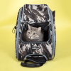 Petique's 5-in-1 Dog Carrier