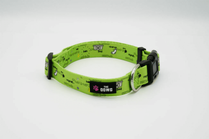 The Dowg Nylon Dog Collar (Color: Ball, Fun, Repeat, size: M)
