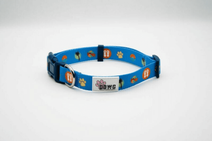 The Dowg Nylon Dog Collar (Color: Beach Blue, size: Small/Medium)