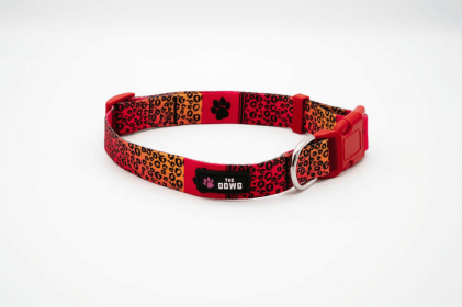 The Dowg Nylon Dog Collar (Color: Ruff And Rouge, size: M)