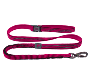 Doco Vario Easy Snap Bungee Dog Leash (Color: Raspberry Pink, size: small)