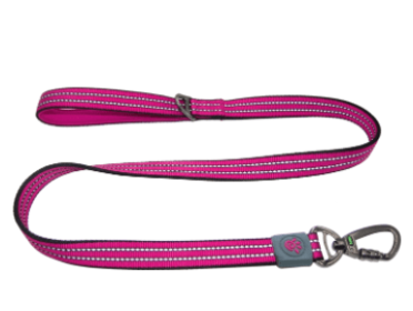 Doco Vario Dog Leash with Reflective Thread (Color: Raspberry Pink, size: small)