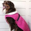 Wild Raspberry Alpine Tuf-Terrain Dog Coat