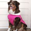 Wild Raspberry Alpine Tuf-Terrain Dog Coat