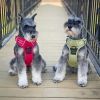 Aspen Venture Paw Pull-Control Dog Harness