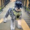 Aspen Venture Paw Pull-Control Dog Harness
