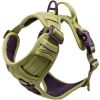 Aspen Venture Paw Pull-Control Dog Harness